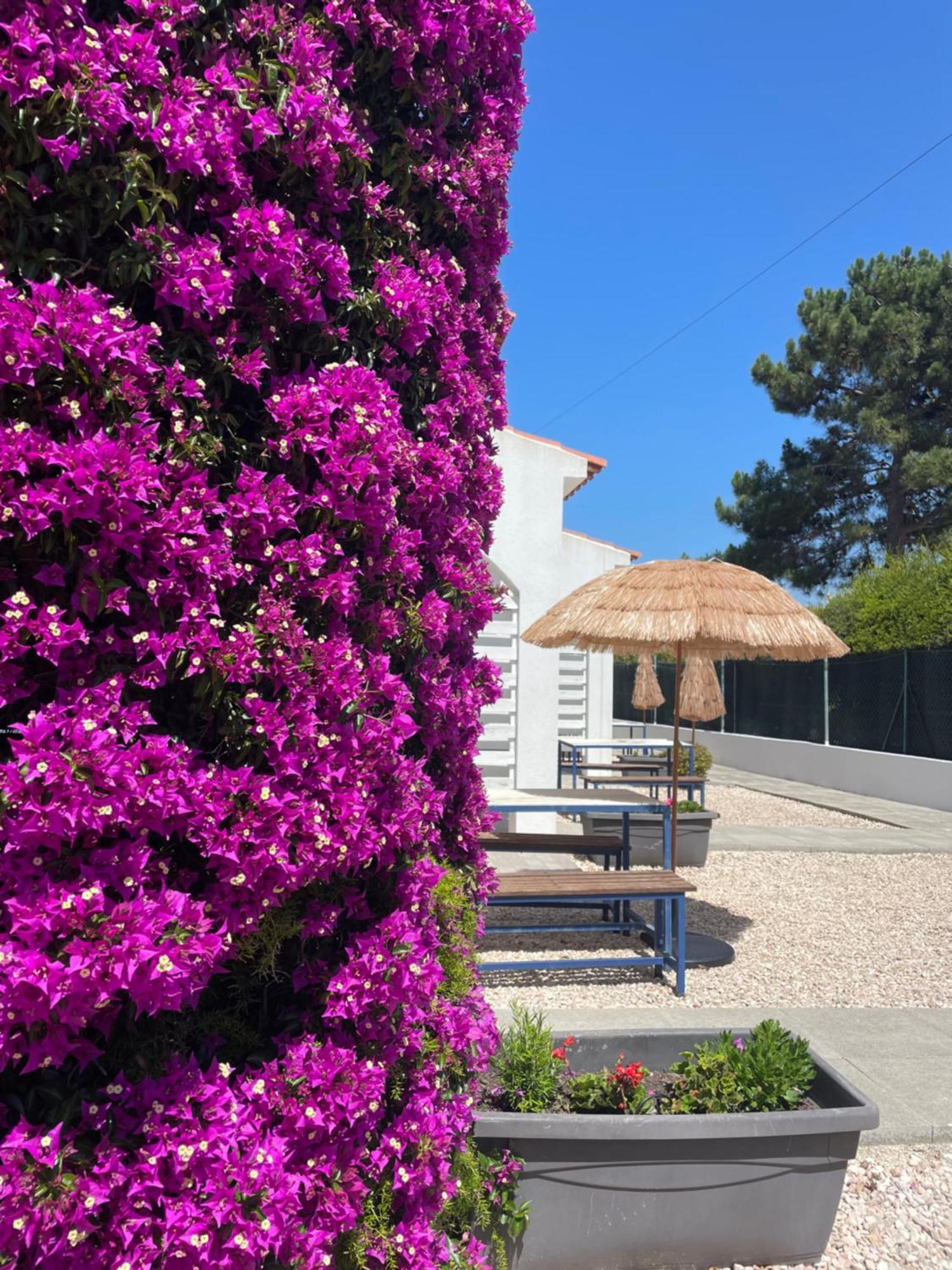 California Dream Inn Aljezur Eksteriør billede